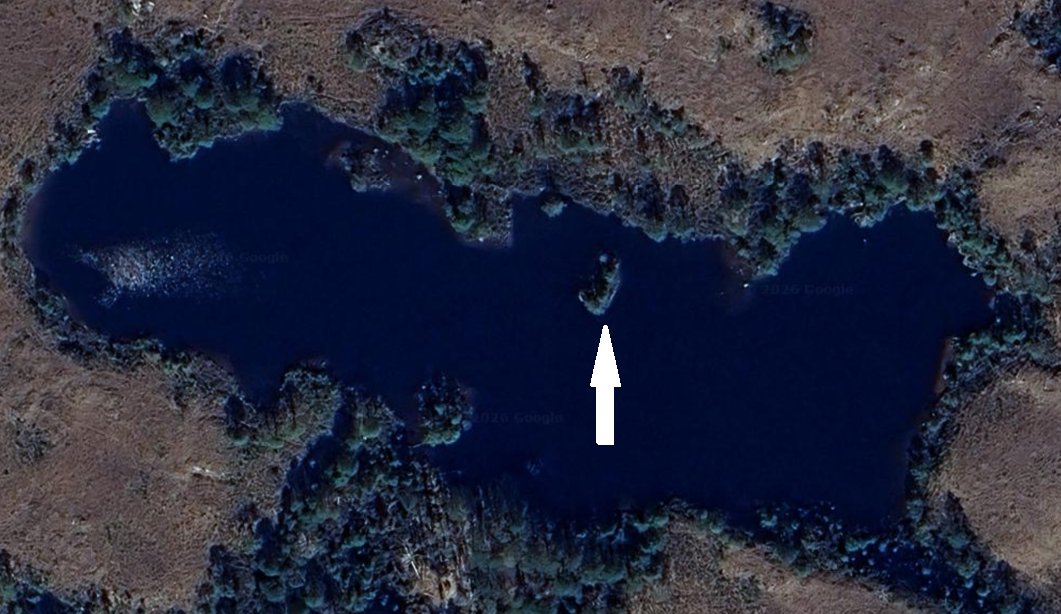 Iain Cameron tweet media