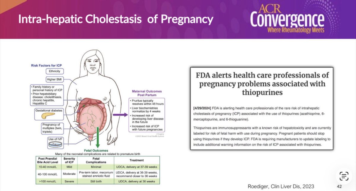 Rheuma Doc tweet media