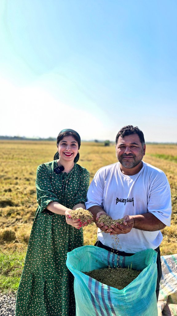 برنج سامگل🌾(ریشه در شالیزار) tweet media