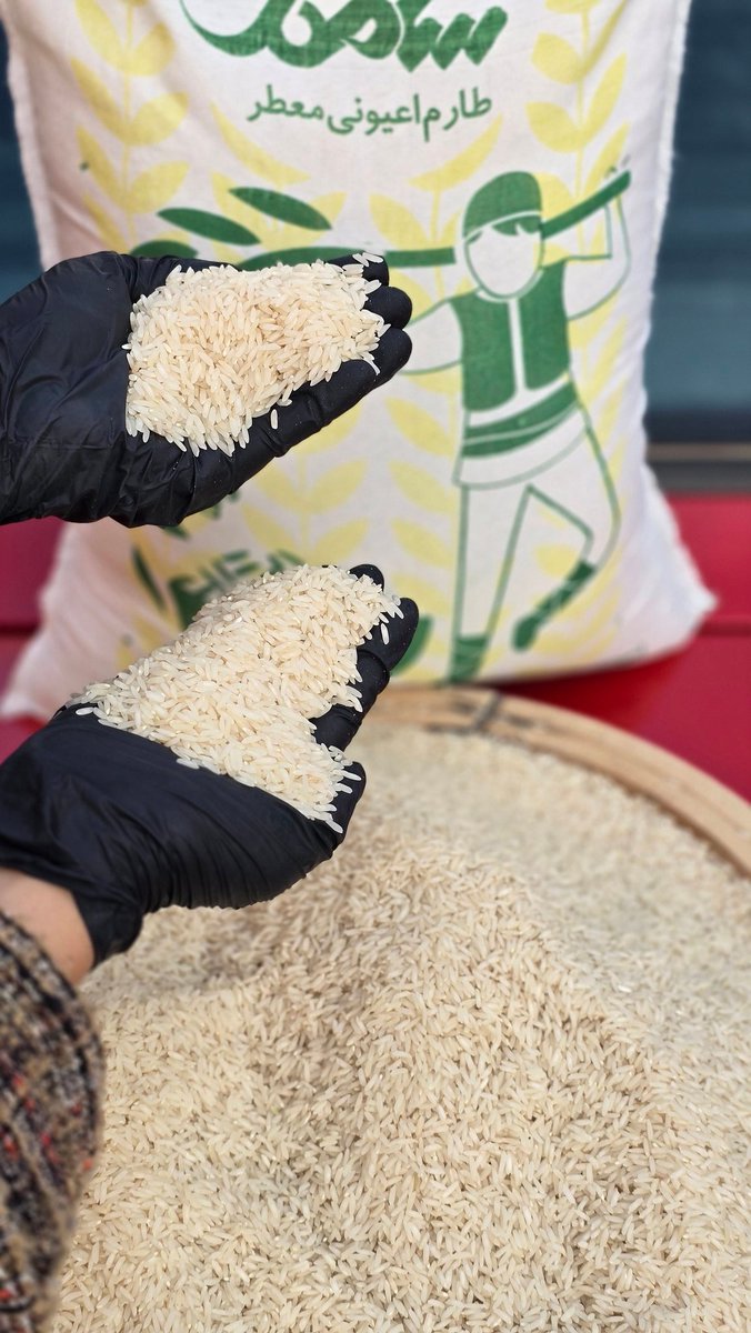 برنج سامگل🌾(ریشه در شالیزار) tweet media