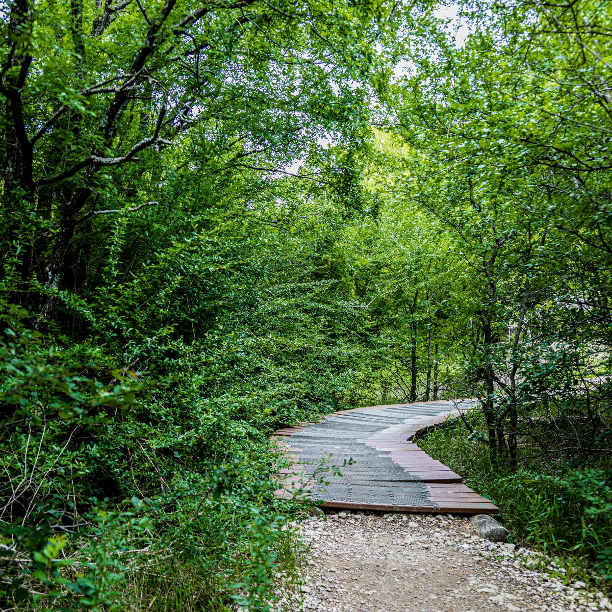 Visit Dallas | Things to do in Dallas tweet media