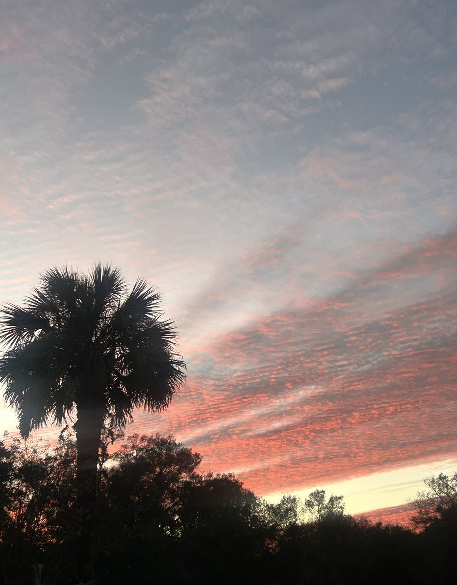 Reverie in Ruins (@sighandsubmit) on Twitter photo 