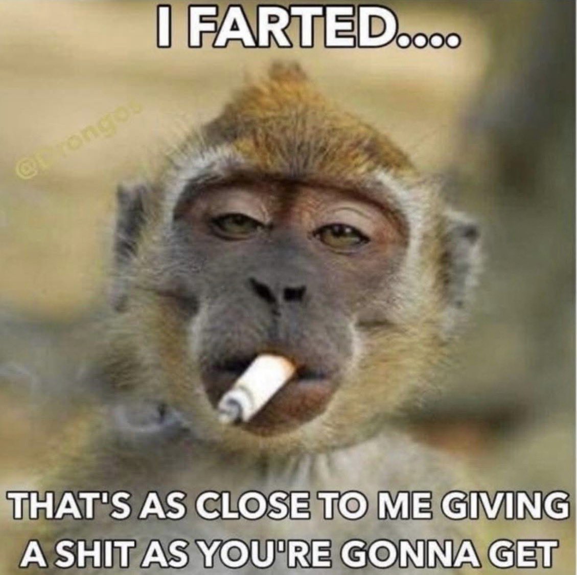 🚨ATTENTION HATERS: 

Keep those replies coming.