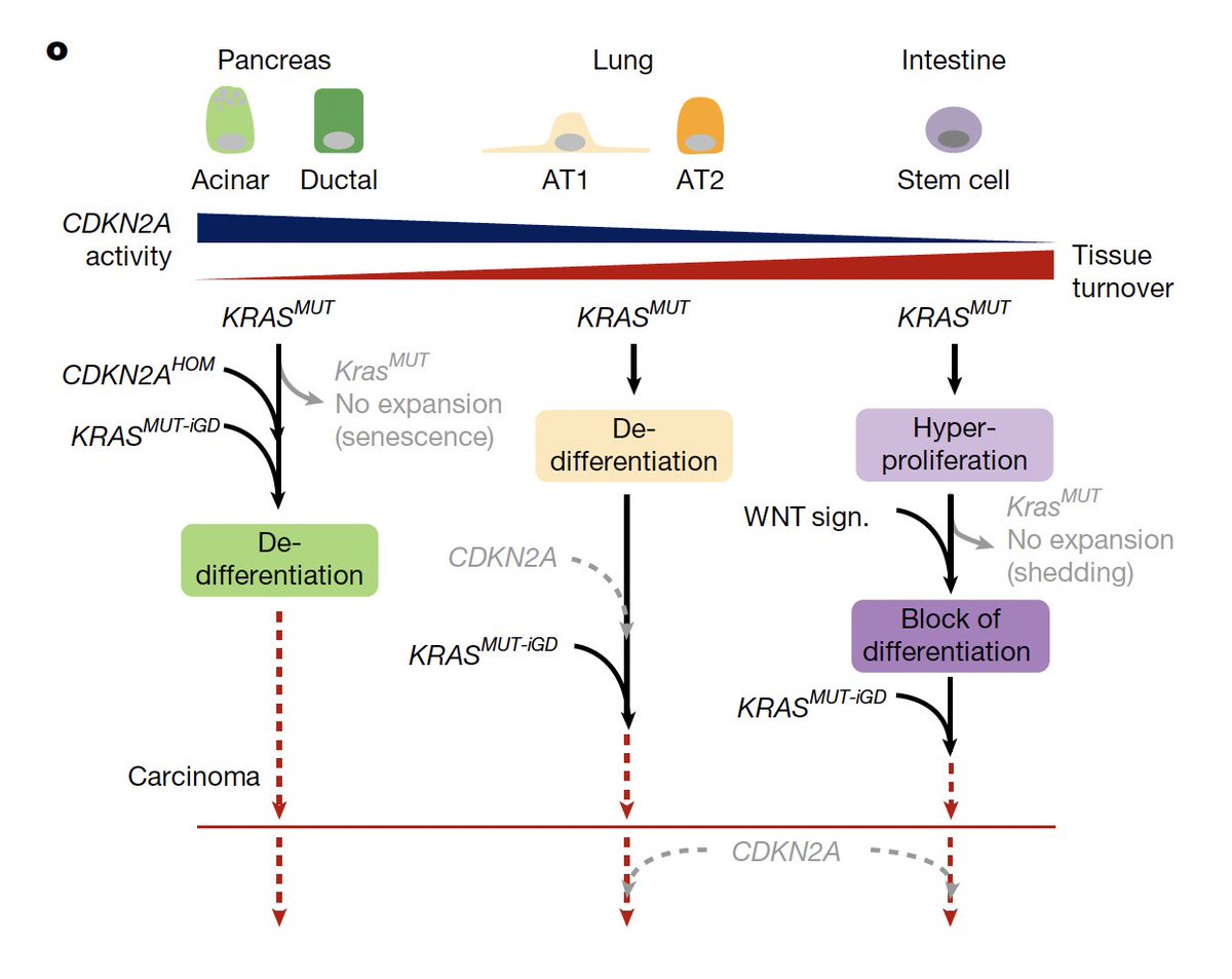 Eric Topol tweet media