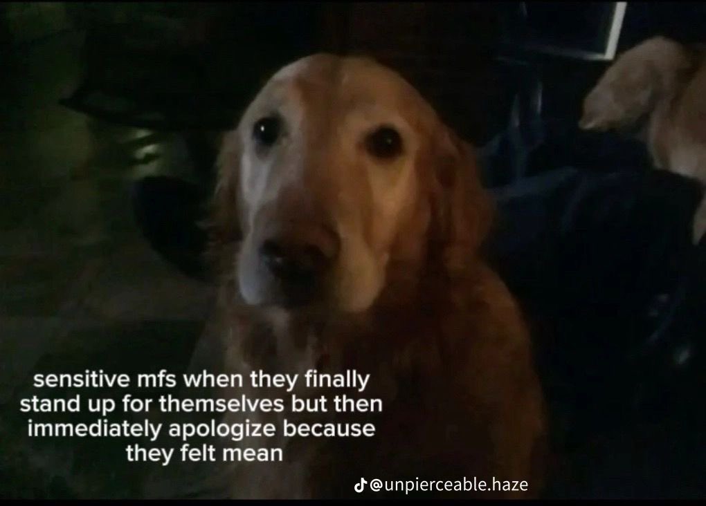 a broken soul tweet media