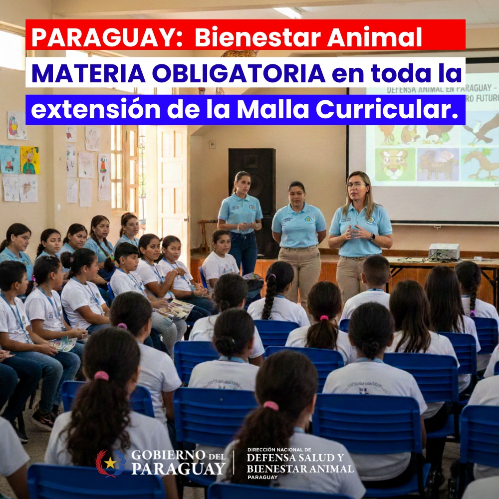 Dirección Nacional de Defensa Animal tweet media