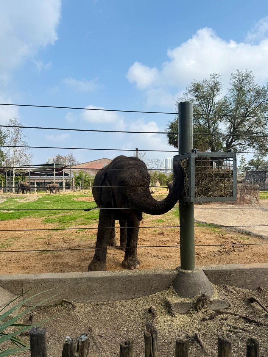 River Oaks IB World School tweet media