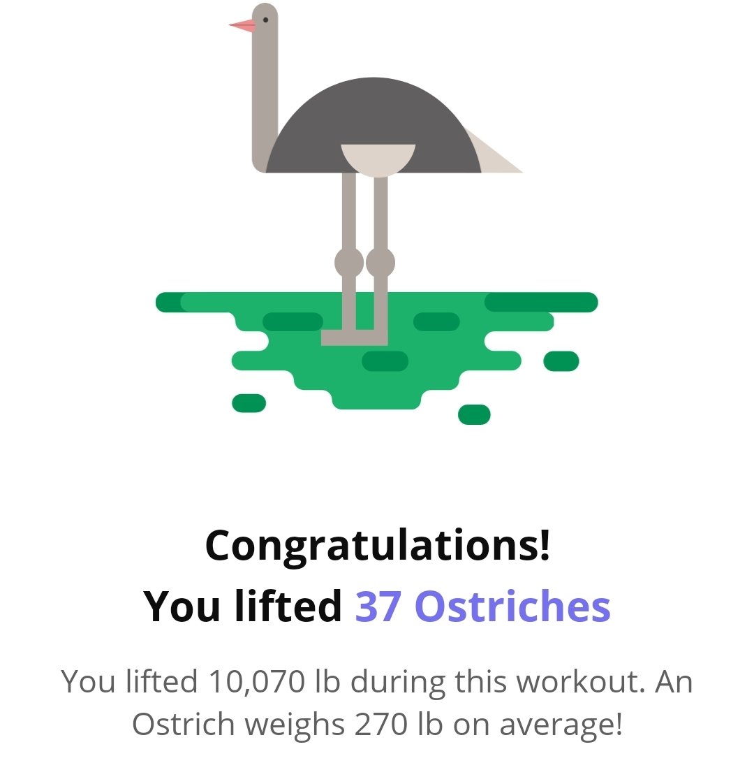 Jonathon | The Wellness Dad ✝️🧠🏋️🤟🏻 tweet media