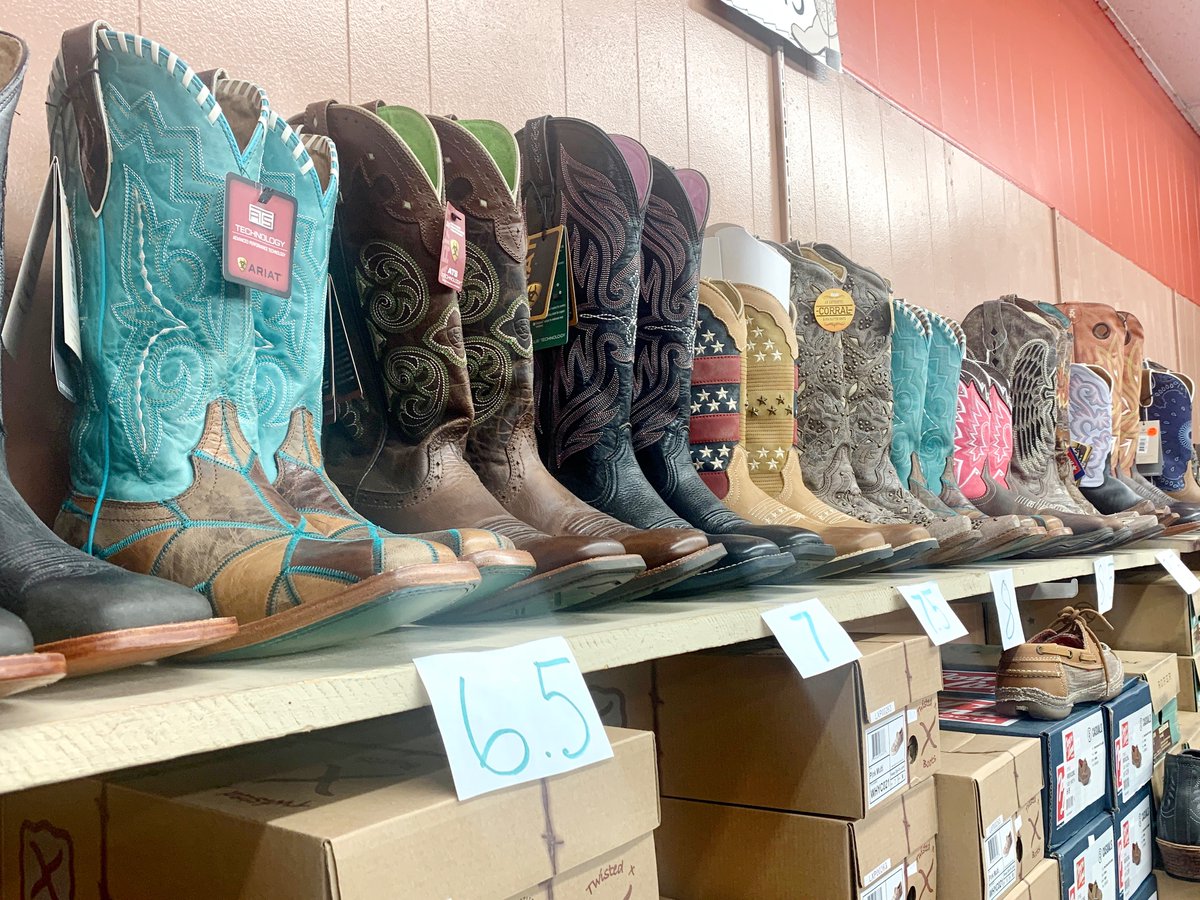 One Delightful Life tweet media