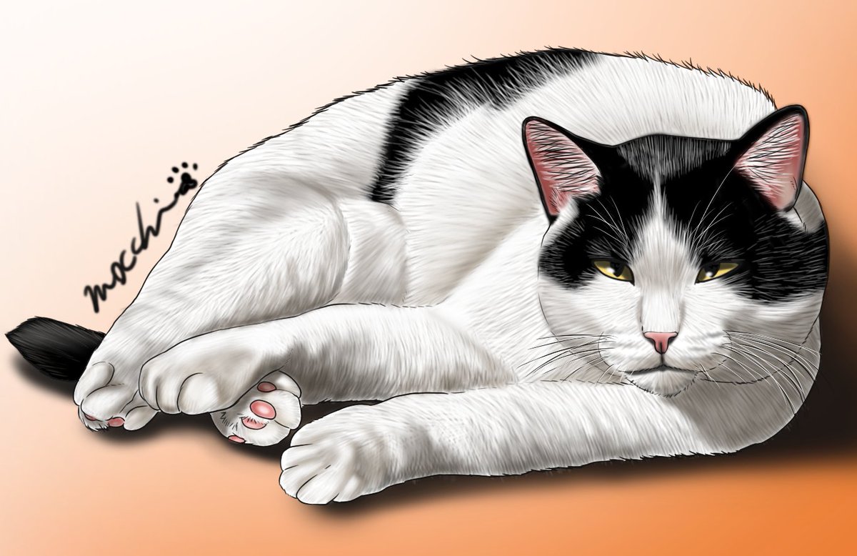 もっち（mocchi） (@mocchimocchi09) / Posts / X