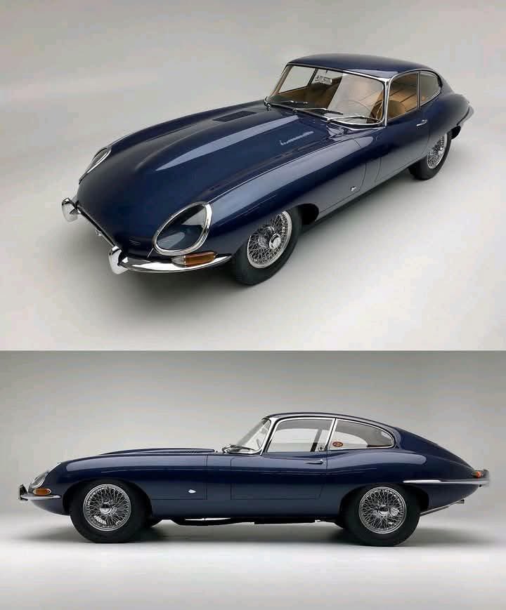 Color combo is timeless