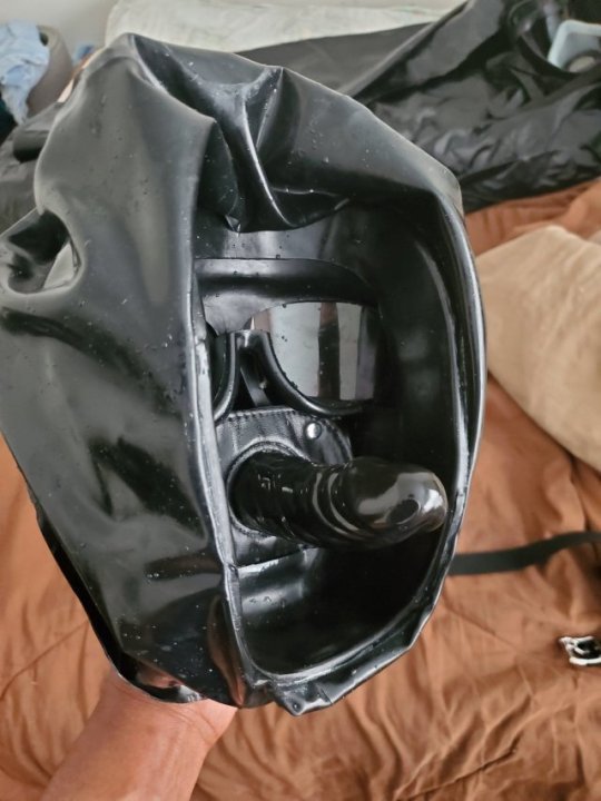 daniel.berlin tweet media