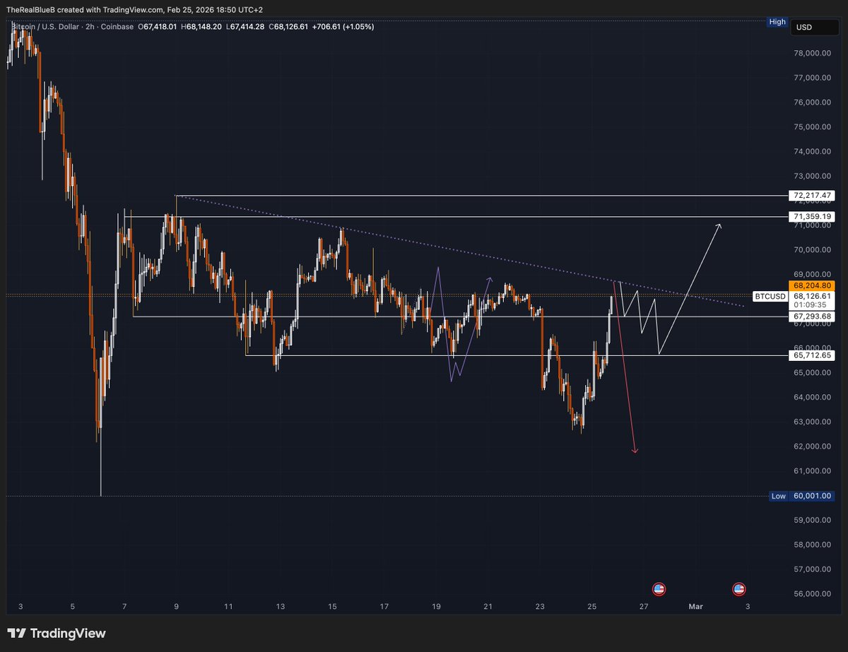 BLUE BIRD tweet media