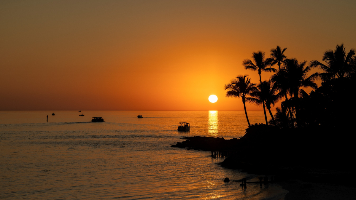 Purdue for Life Foundation tweet media