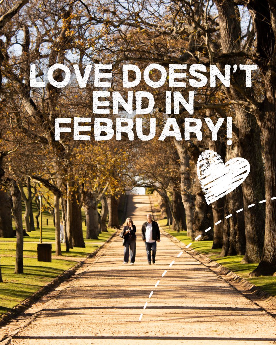 Cape Town Big 6 tweet media