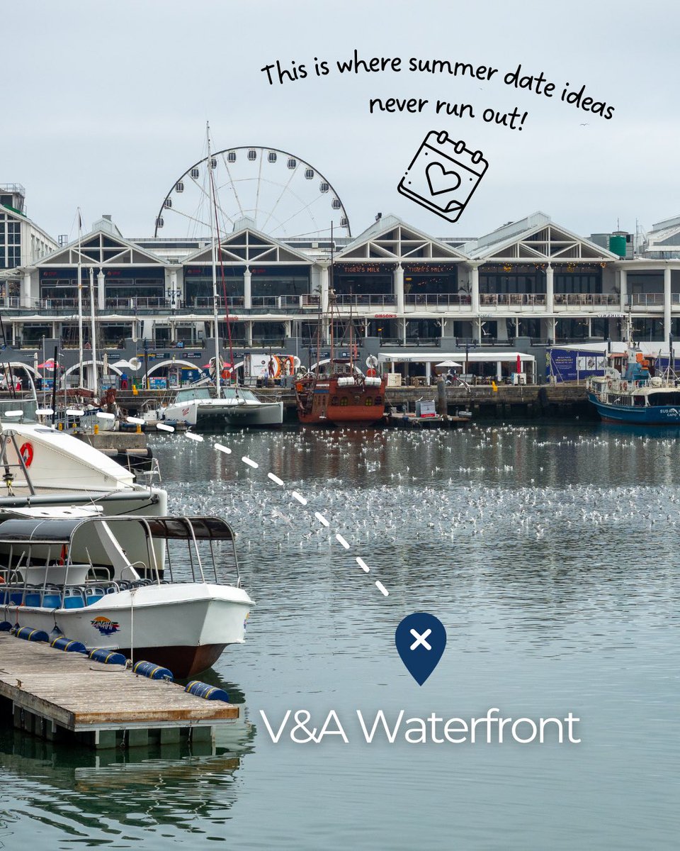 Cape Town Big 6 tweet media