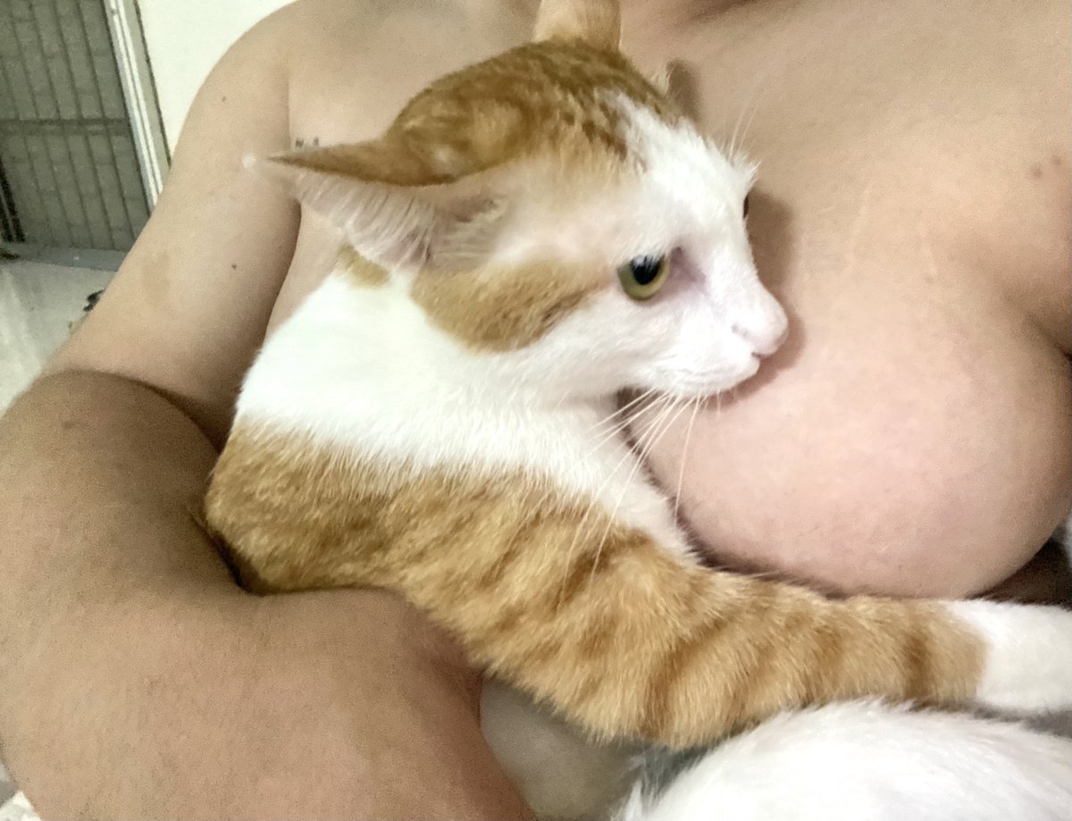 tyyoon42's tweet photo. นุ่มมั้ยลูกกก 😺🐈 #สาวอวบอ้วน #สาวอวบขี้เงี่ยน #หาfwb https://t.co/EF5ZfMLFGg