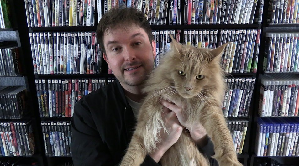 TigerChainsaw tweet media