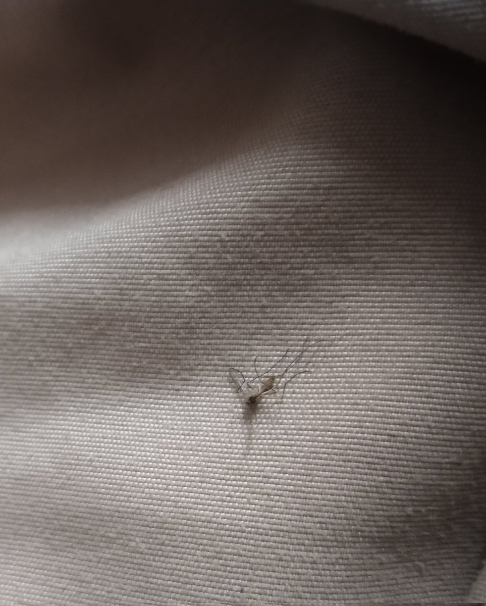 itni der se pareshaan kr rha tha maar dala 😈😈😛😛🤣🤣🫵🫵