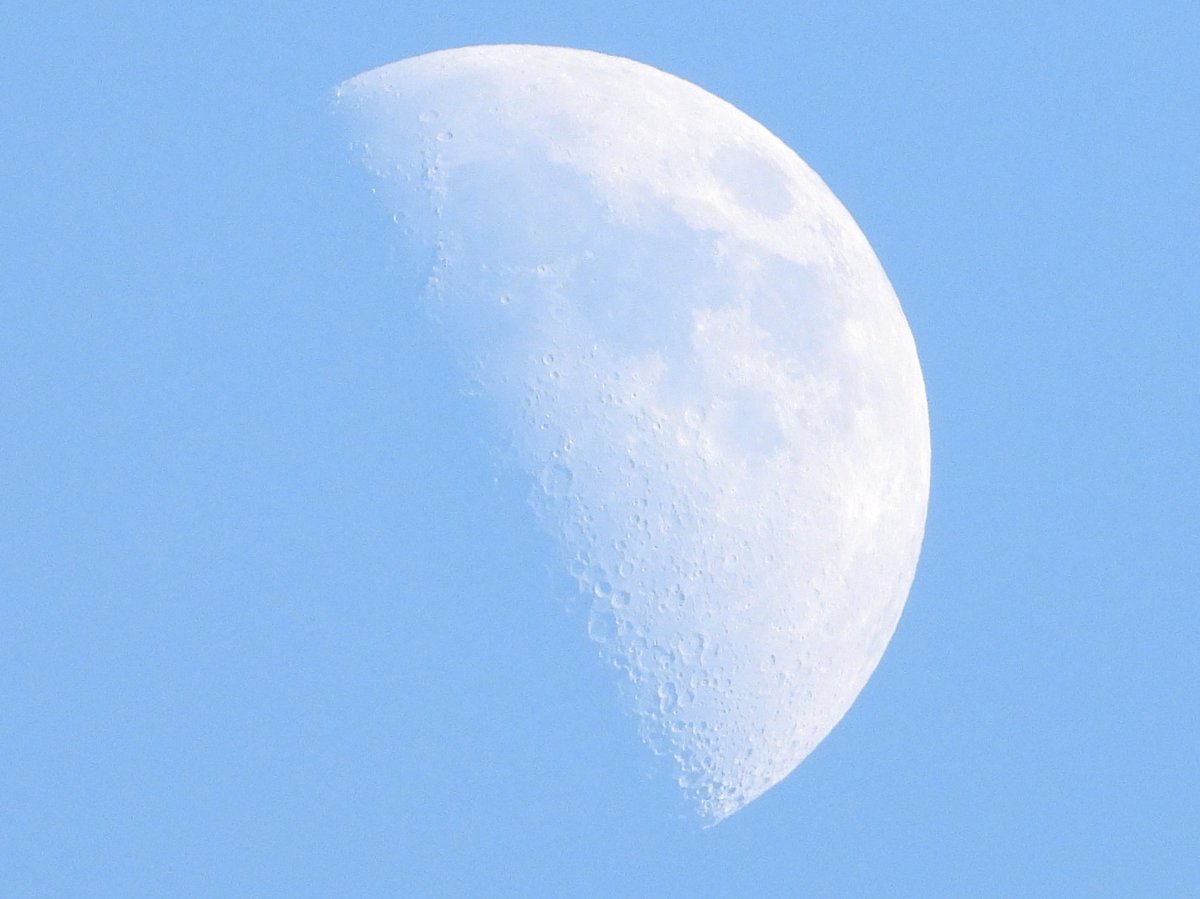 astronomy_dan's tweet photo. Heres a Stunning photo of the First Quarter Luna Moon over Kemble Cirencester on 24/02/26 in the DAYLIGHT plus Sea of Tranquility is Visiable . @MoonHourSocial @ThePhotoHour @storm @BBCStargazing @skyatnightmag #Luna #Moon #Firstquartermoon #Firstquarter #Halfmoon https://t.co/Ymf2Ljyjq3