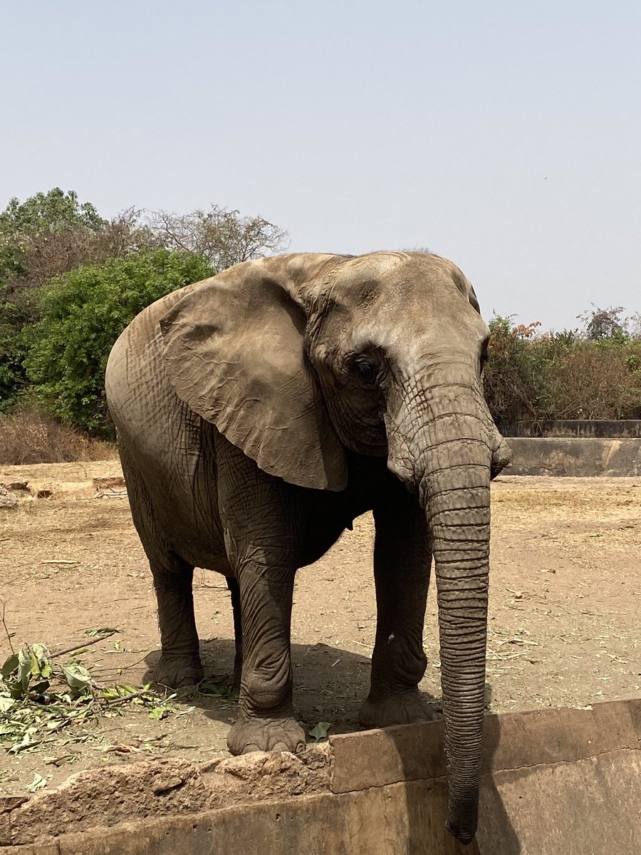 NaNa🌼✨ tweet media