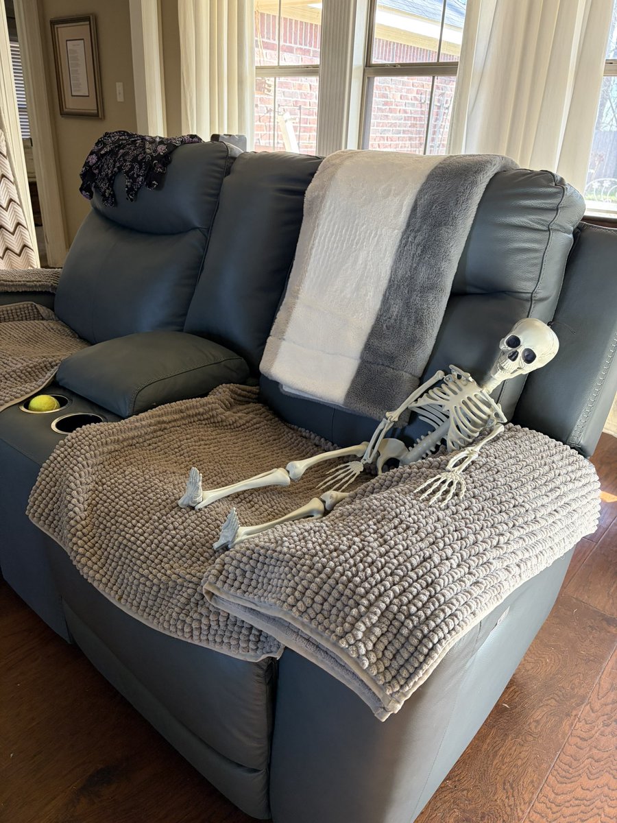 RG | Dangle tweet media