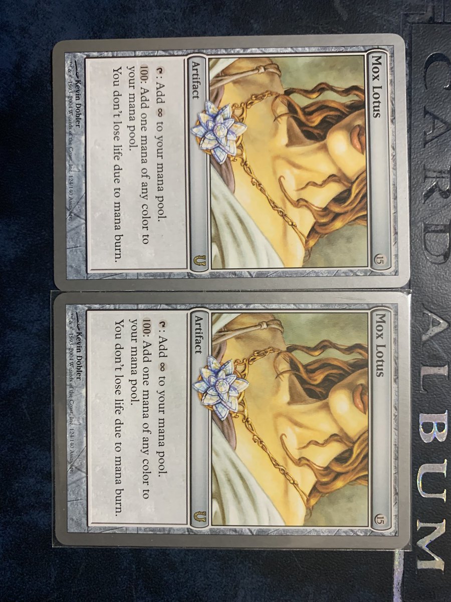 ロータスがでてきました