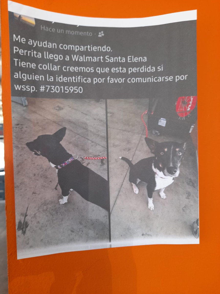 Carlos Rodríguez 🇸🇻 tweet media