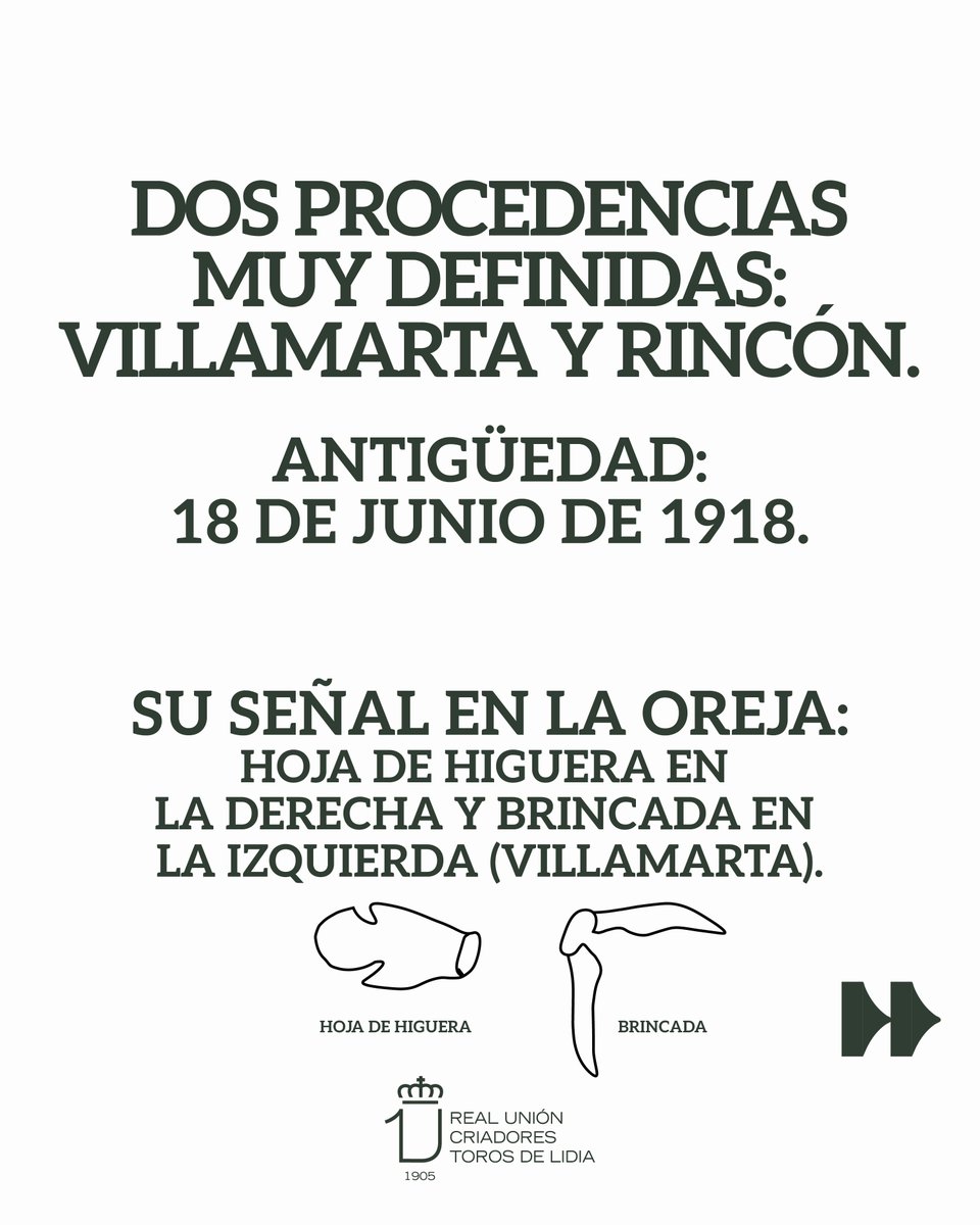 Real Unión de Criadores de Toros de Lidia tweet media