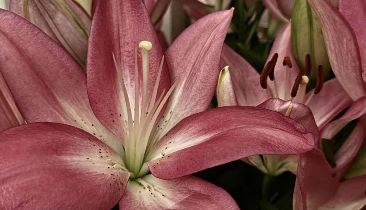 noor (@saudinoorr) on Twitter photo 