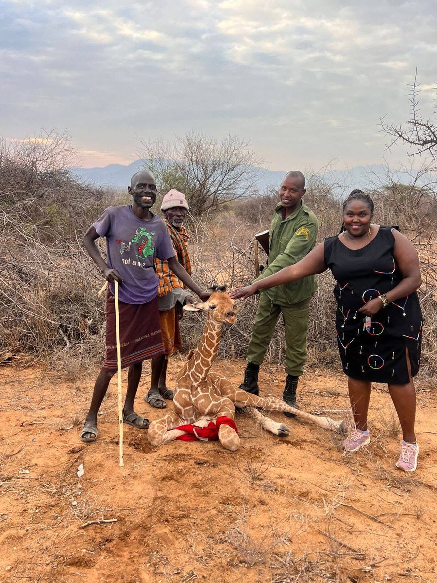 Sam L. Lenaibalatia 🇰🇪 tweet media