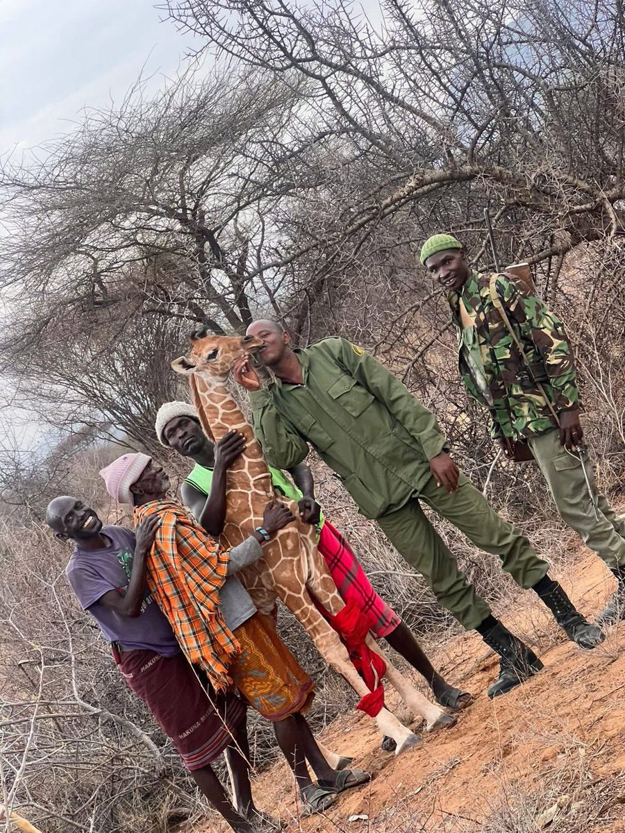 Sam L. Lenaibalatia 🇰🇪 tweet media