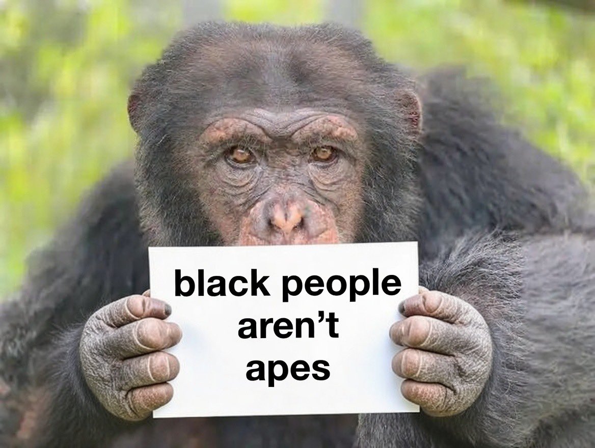 ColonizerKamala's tweet photo. @OwenBenjamin Literally the same picture https://t.co/NvD2uLKuO5