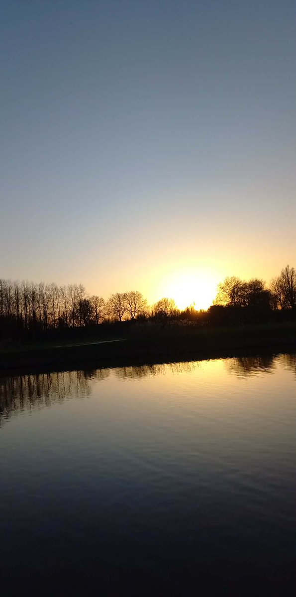 WRÓŻKA ZĘBUSZKA tweet media