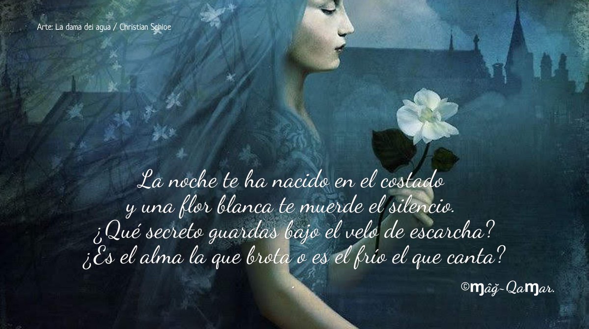 ɱâğade Qaɱar tweet media