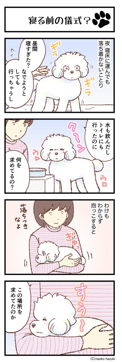 ransenosin's tweet photo. 寝る前の儀式？【547】～「トイプードルことりとゆかいななかまたち」   

https://t.co/ZSyi7vqaDp

#トイプードル
#マンガの読めるハッシュタグ
#愛犬がいる幸せ
#アメブロ
#四コマ漫画 https://t.co/Pk7Xiv3ejb