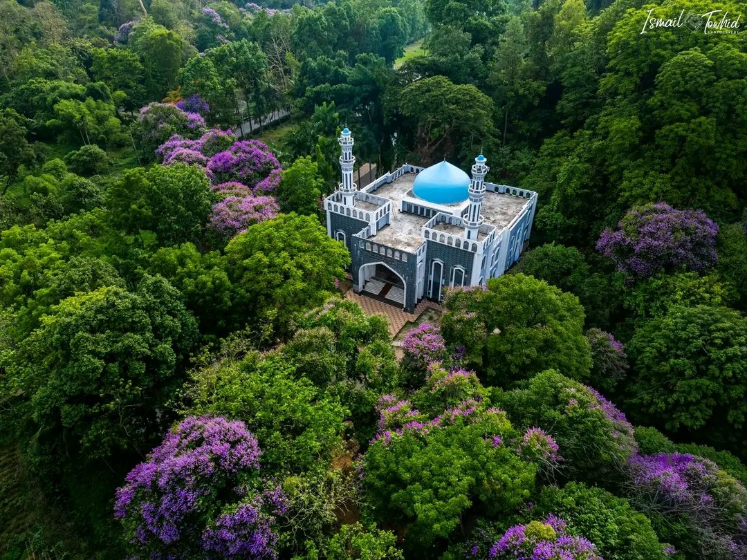 ফারিয়া🇧🇩🇱🇧👫🇪🇭 tweet media