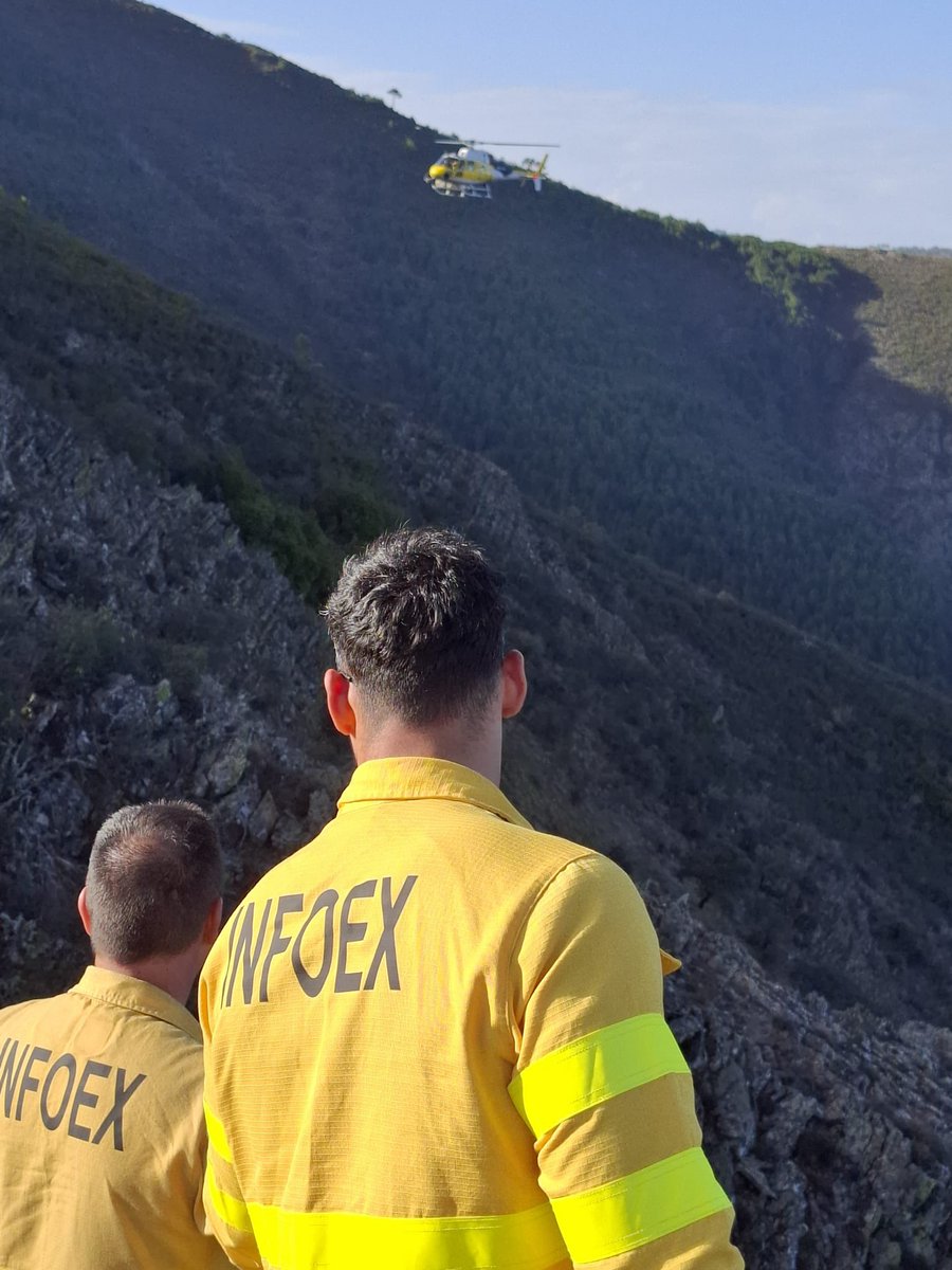 Consejería de Gestión Forestal y Mundo Rural tweet media