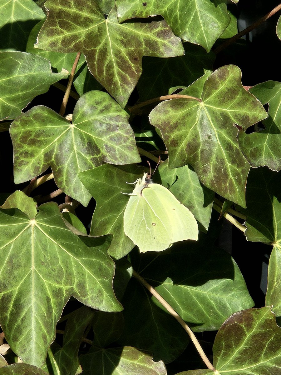 Catrien Floris tweet media