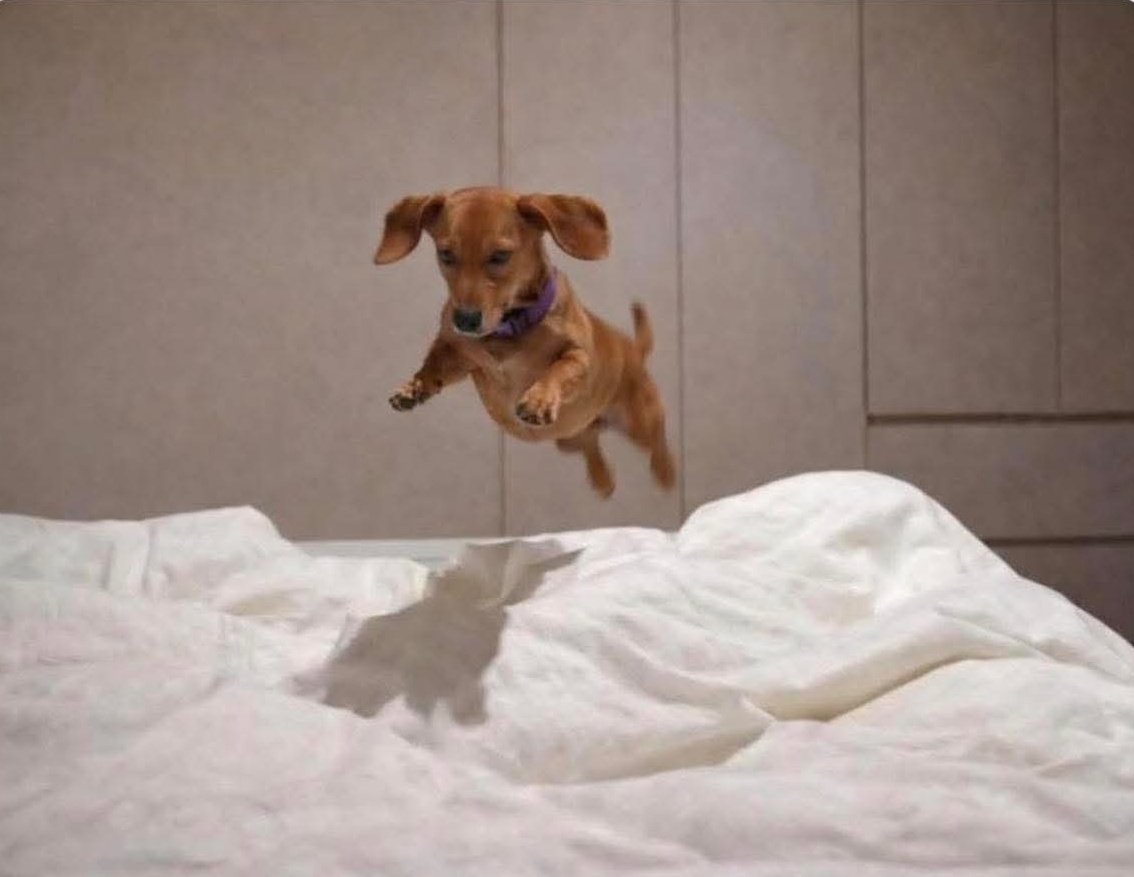 eu chegando em casa depois do trabalho e encontrando minha cama: