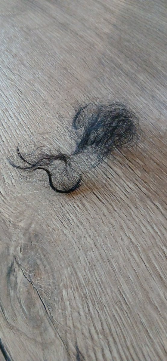 And so the big boof moult begins