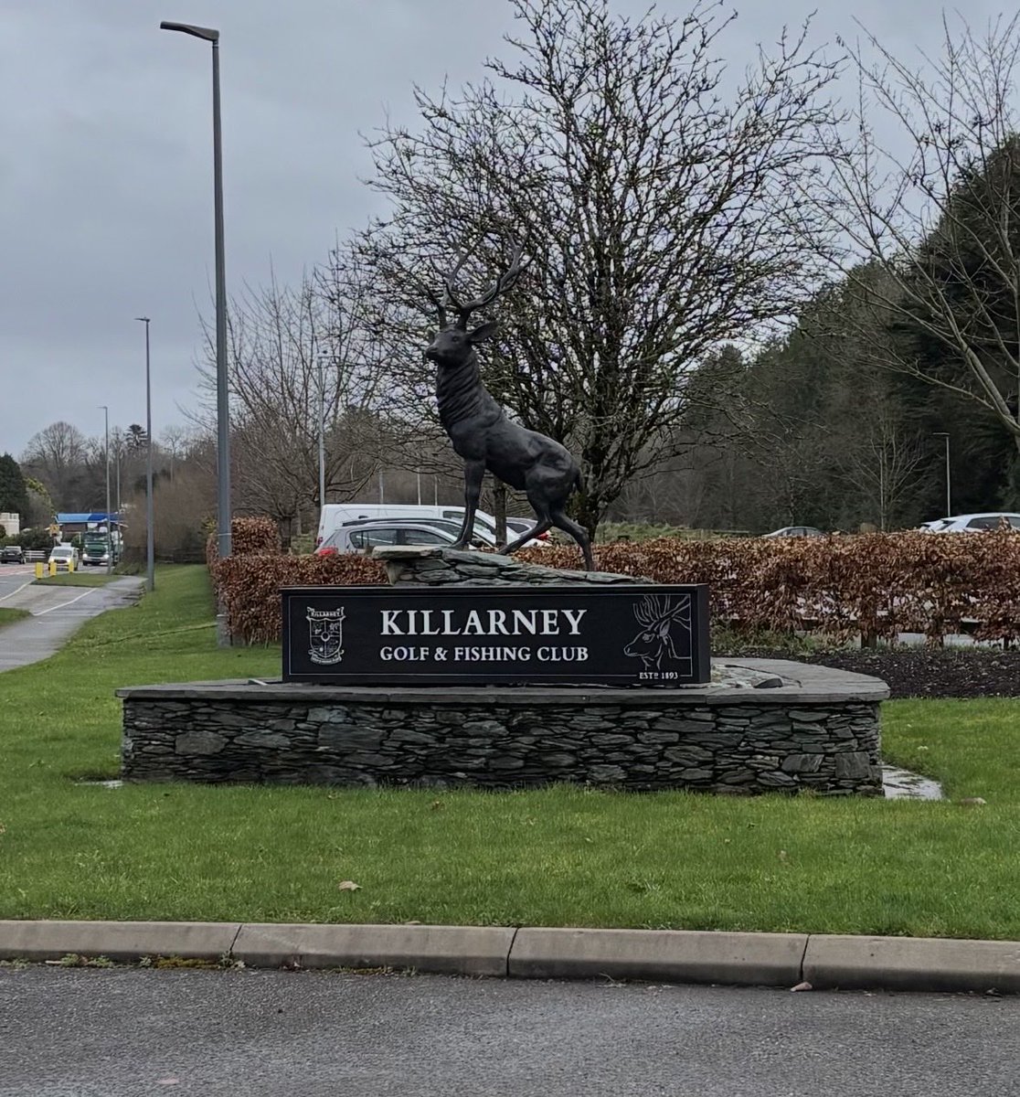 Brian dunne tweet media