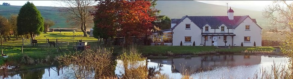 aroundaboutbrit's tweet image. Experience Natural North Wales from Llwyn Onn Guest House.

Llwyn Onn Guest House is perfectly positioned just off the A5, close to the village of Rhydlydan. Set within the rolling moors of the Hiraethog.

aroundaboutbritain.co.uk/Conwy/14994

#LlwynOnnGuestHouse #Rhydlydan #Hiraethog #Eryri