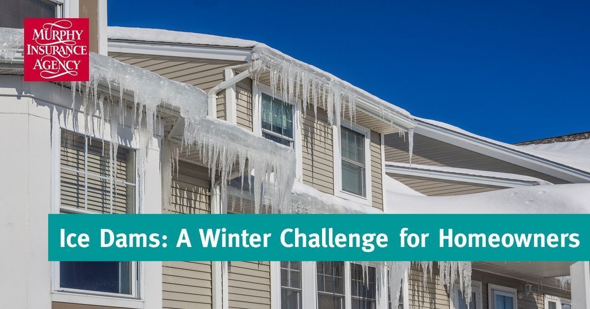 MurphyInsurance's tweet image. ❄️ We’ve had no shortage of snowstorms this year, and this week’s blizzard was a whopper. Many Massachusetts homeowners are now dealing with the stress of #icedams. 

If you’re seeing ice buildup, leaks, or water stains, you’re not alone; these problems are common after heavy