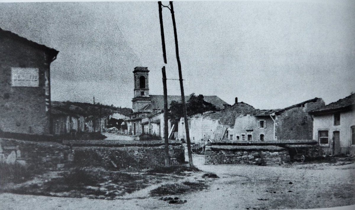 N L Collier tweet media