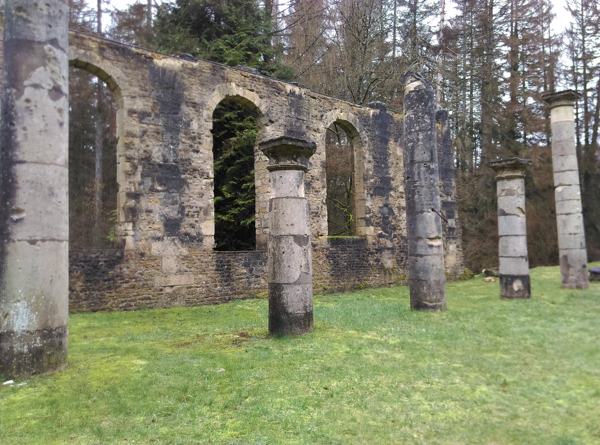 N L Collier tweet media