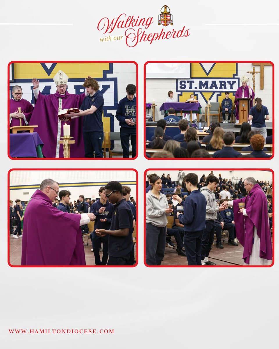 Diocese of Hamilton tweet media