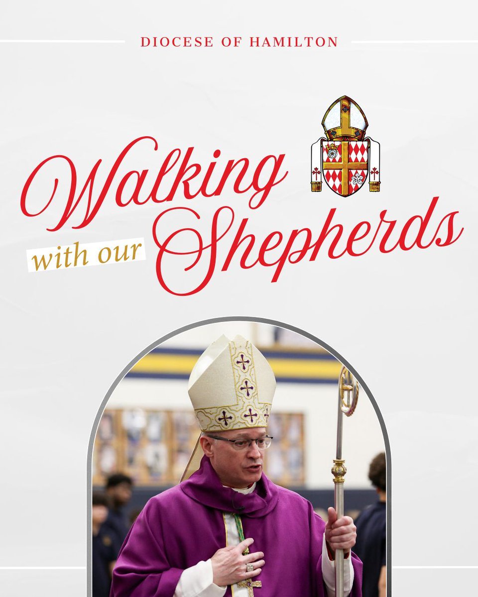 Diocese of Hamilton tweet media