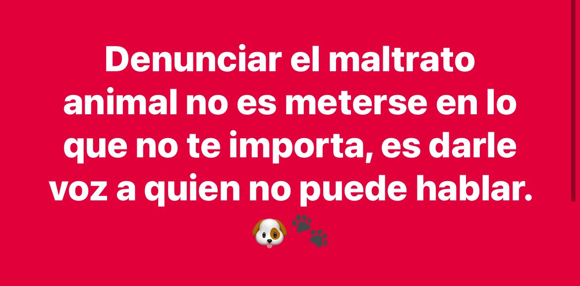 El mismo derecho tienen de estar en este mundo, como nosotros ,no al maltrato animal