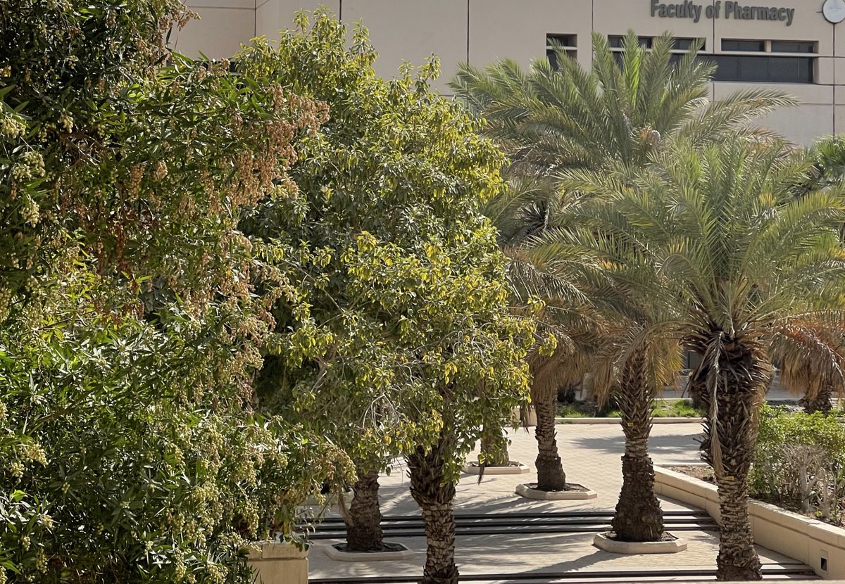 يقاله أحمدو tweet media